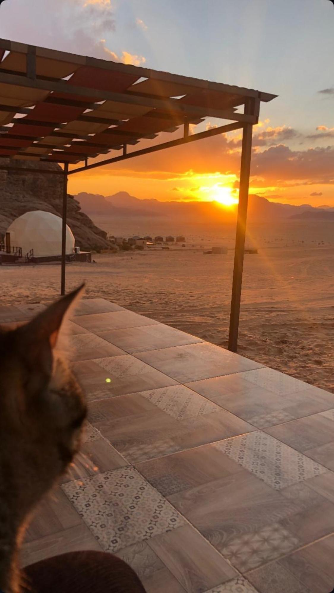 Wadi Rum Mars Camp מראה חיצוני תמונה